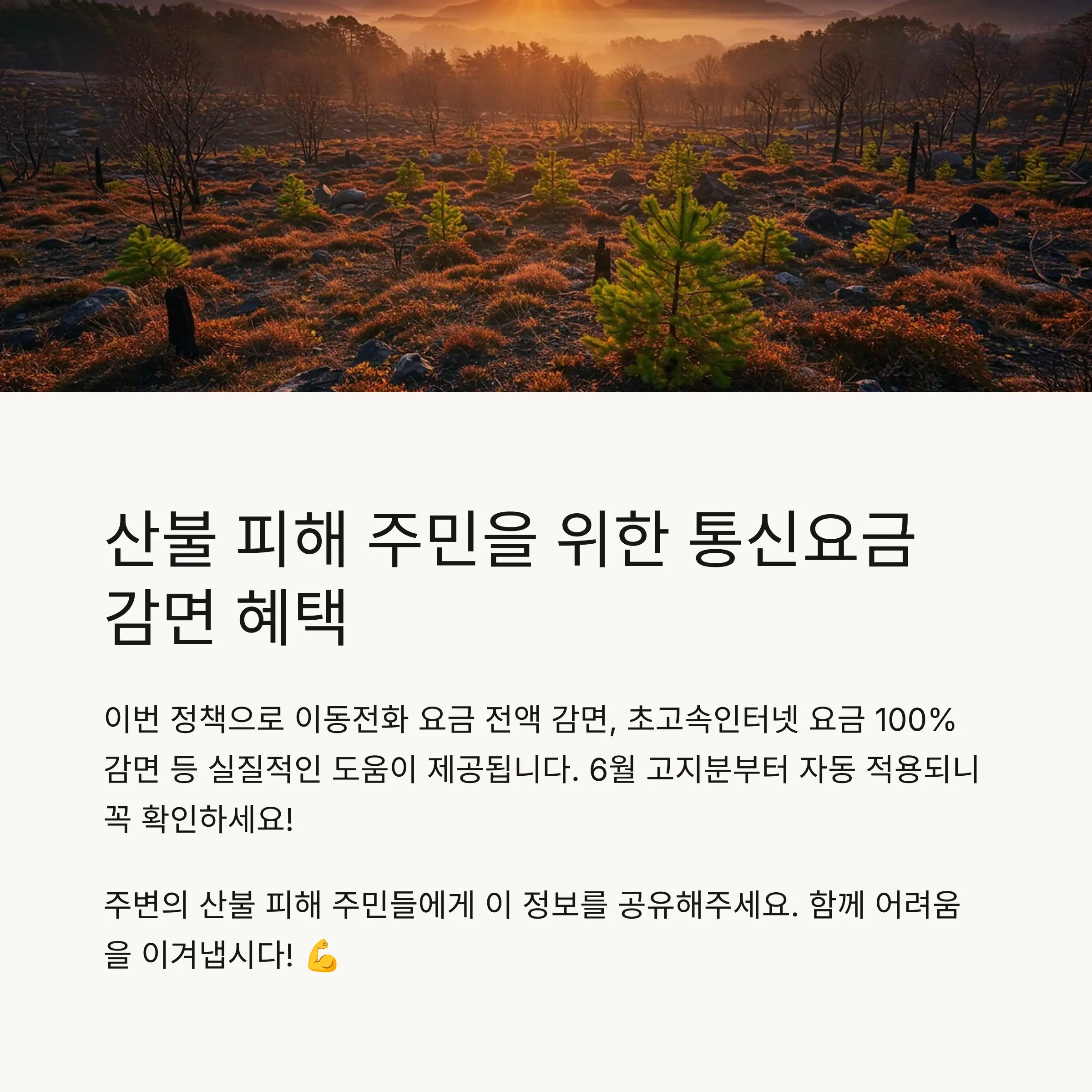 🏠 혜택 대상 지역 및 자격