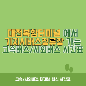 대전복합터미널에서 기지시버스정류장 가는 시외버스 시간표 최신정보