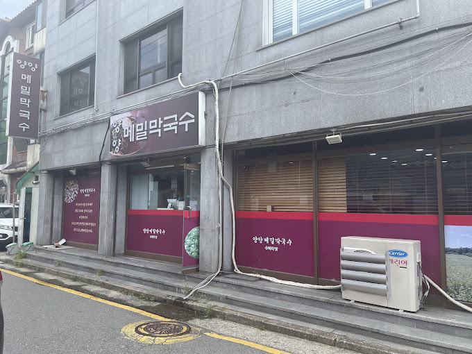 서초동 메밀맛 '양양메밀막국수'