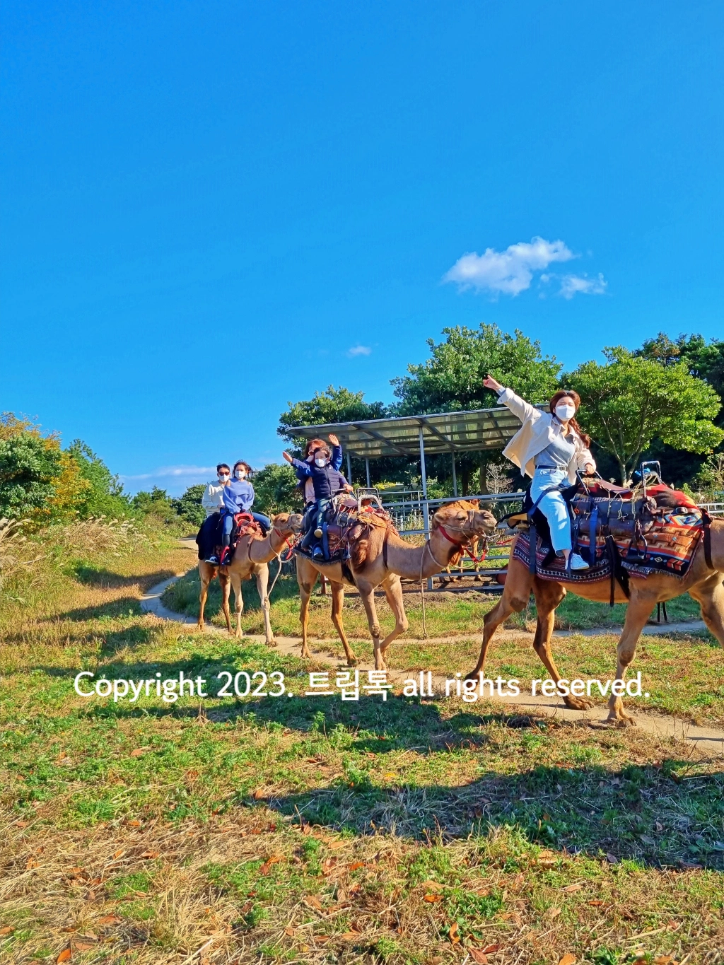 파란하늘 아래 3마리의 낙타에 2명씩 탄 사람들이 만세를 하고 있다.