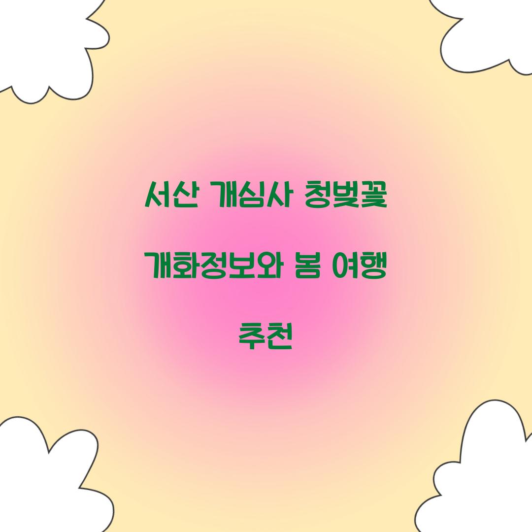서산 개심사 청벚꽃