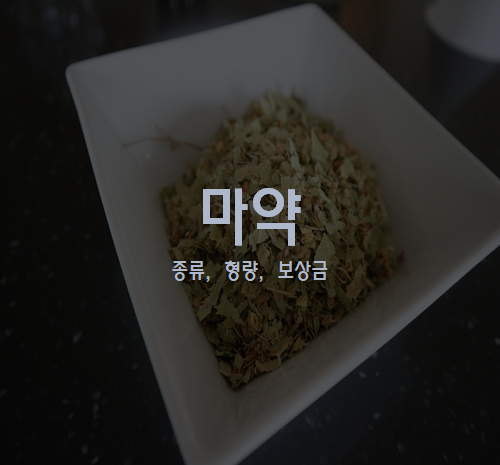 마약 전문 변호사, 마약 종류