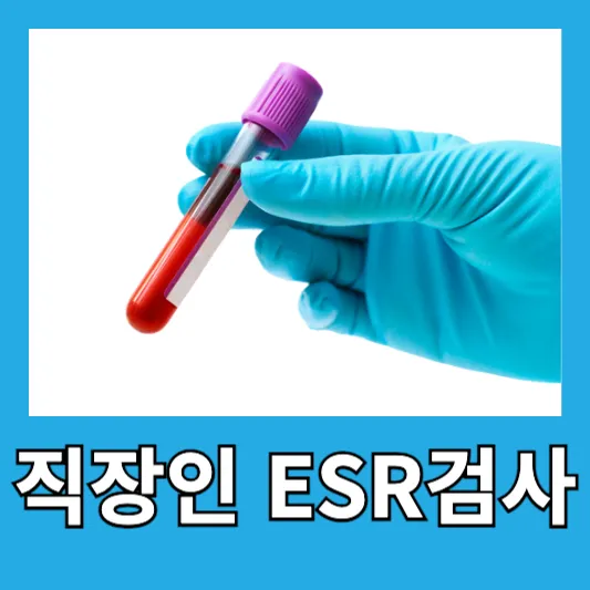 직장인 ESR 검사 적혈구침강속도 원리 정상 염증수치