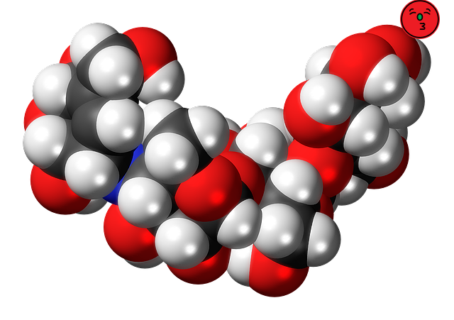 당뇨에 좋은 과일