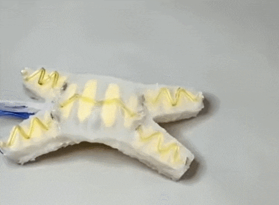 터미네이터의 현실화?...스스로 복원하는 로봇 공개 VIDEO:Self-healing robot recovers from being stabbed then walks off