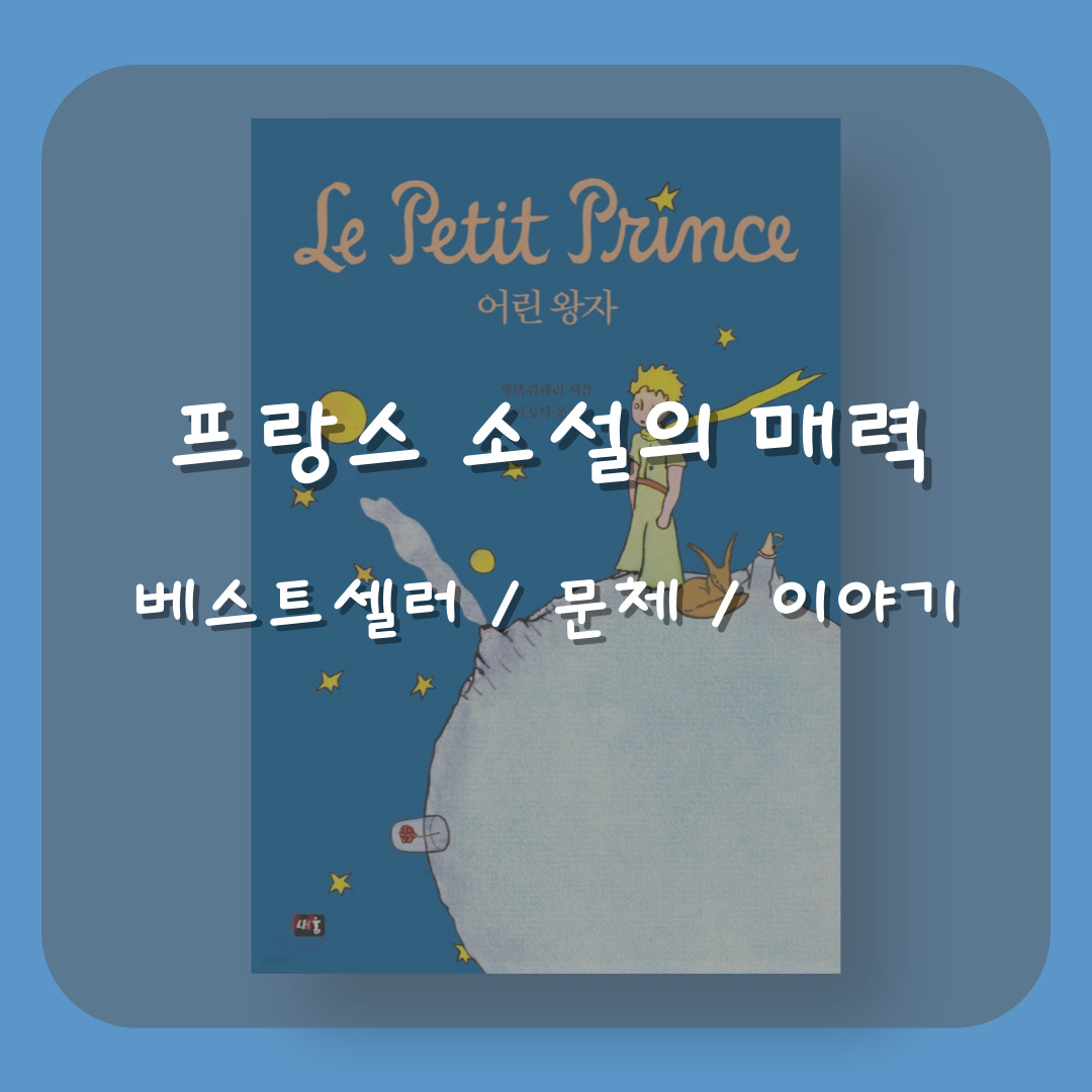 프랑스 소설의 매력