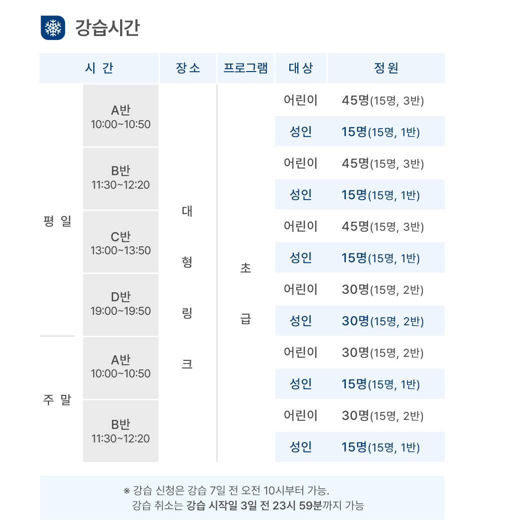 서울광장 스케이트장 강습안내