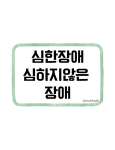 장애등급기준 심한장애 심하지않은장애