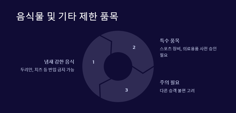 기내수하물