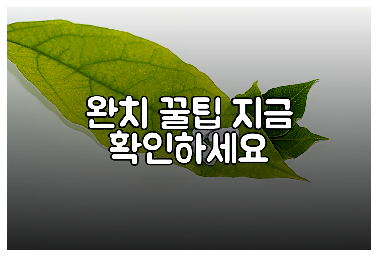 완치 꿀팁 지금 확인하세요