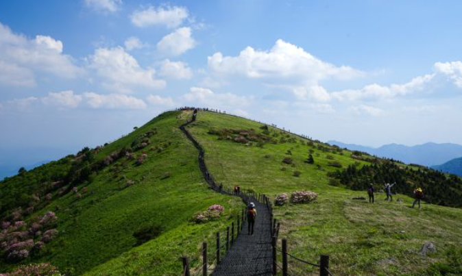 2025 가을 소백산 단풍 절정 &amp; 등산코스 가이드 ❘ 비로봉&middot;천동 코스&middot;주차장 정보