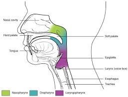 만성 폐쇄성 폐질환