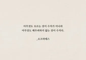 배움의 좋은 글 명언 글귀 모음 배움에 관한 명언으로_2