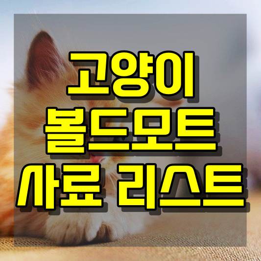 고양이 신경근육병증과 볼드모트 사료 리스트