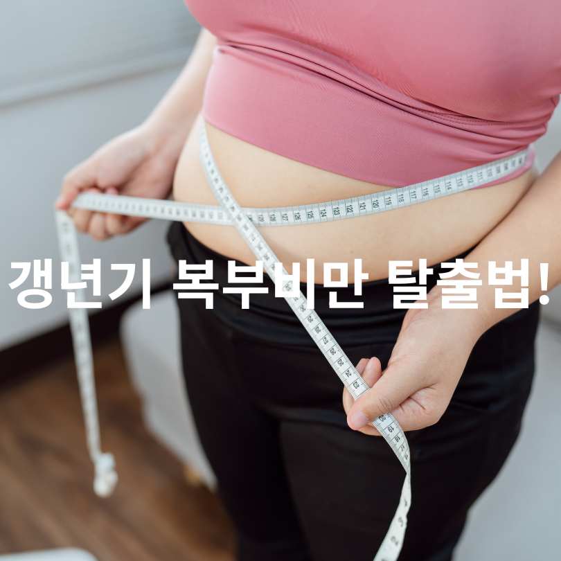갱년기 여성 복부비만 원인과 해결책