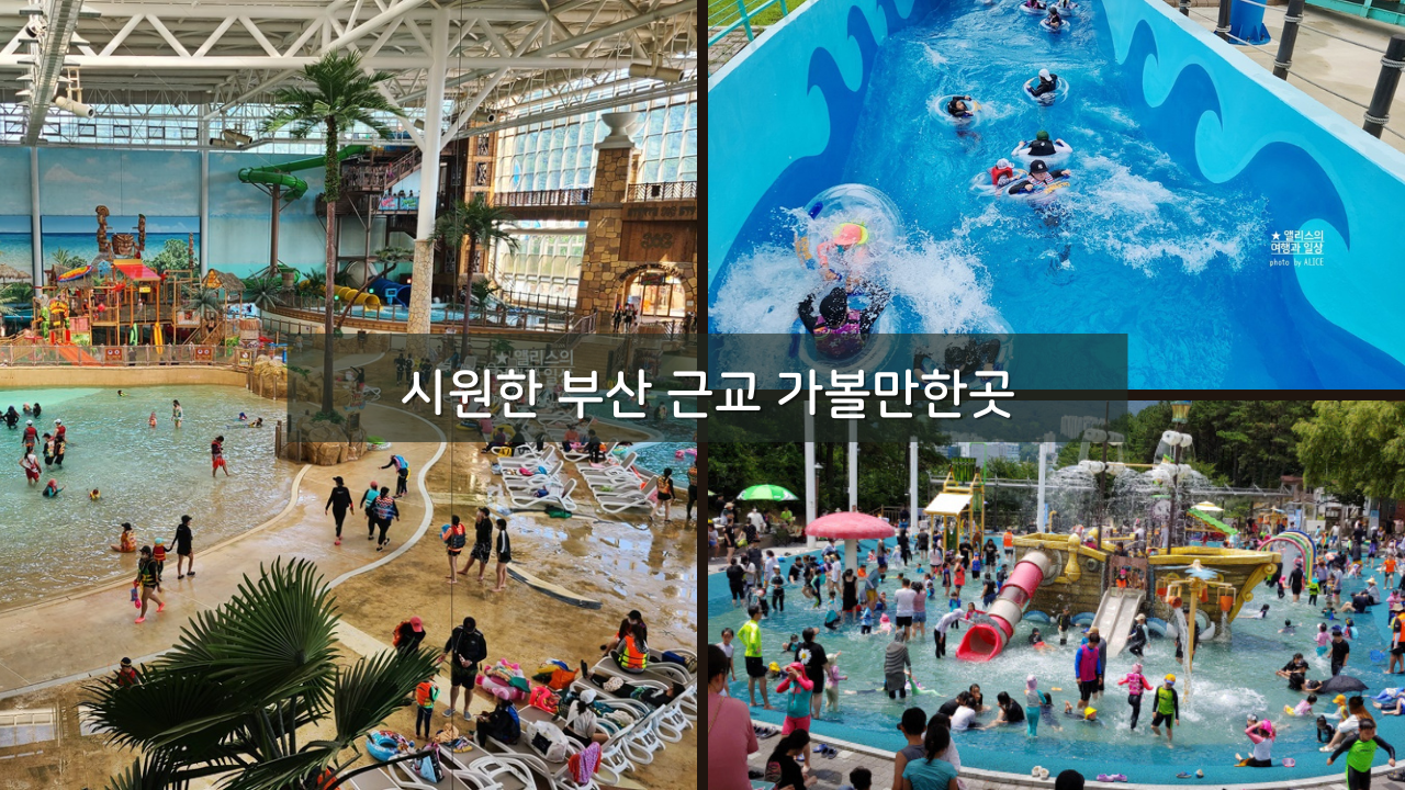 여름 여행 시원한 부산 근교 가볼만한곳 추천 당일치기