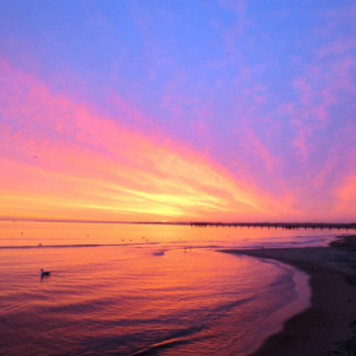 2025년 새해 일출 명소