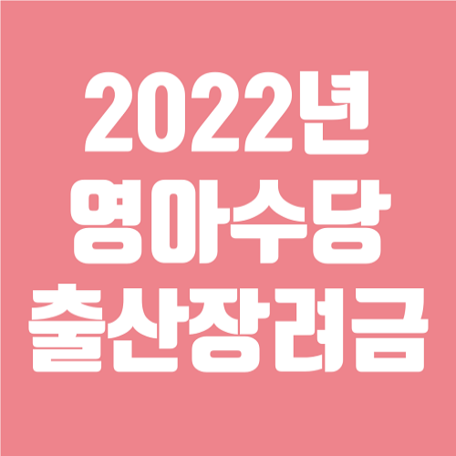 2022년 영아수당 출산장려금 저출산 고령사회 기본계획