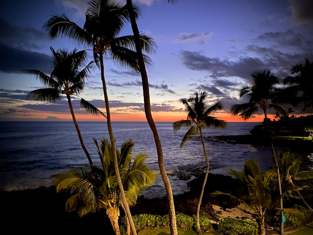 Kona
