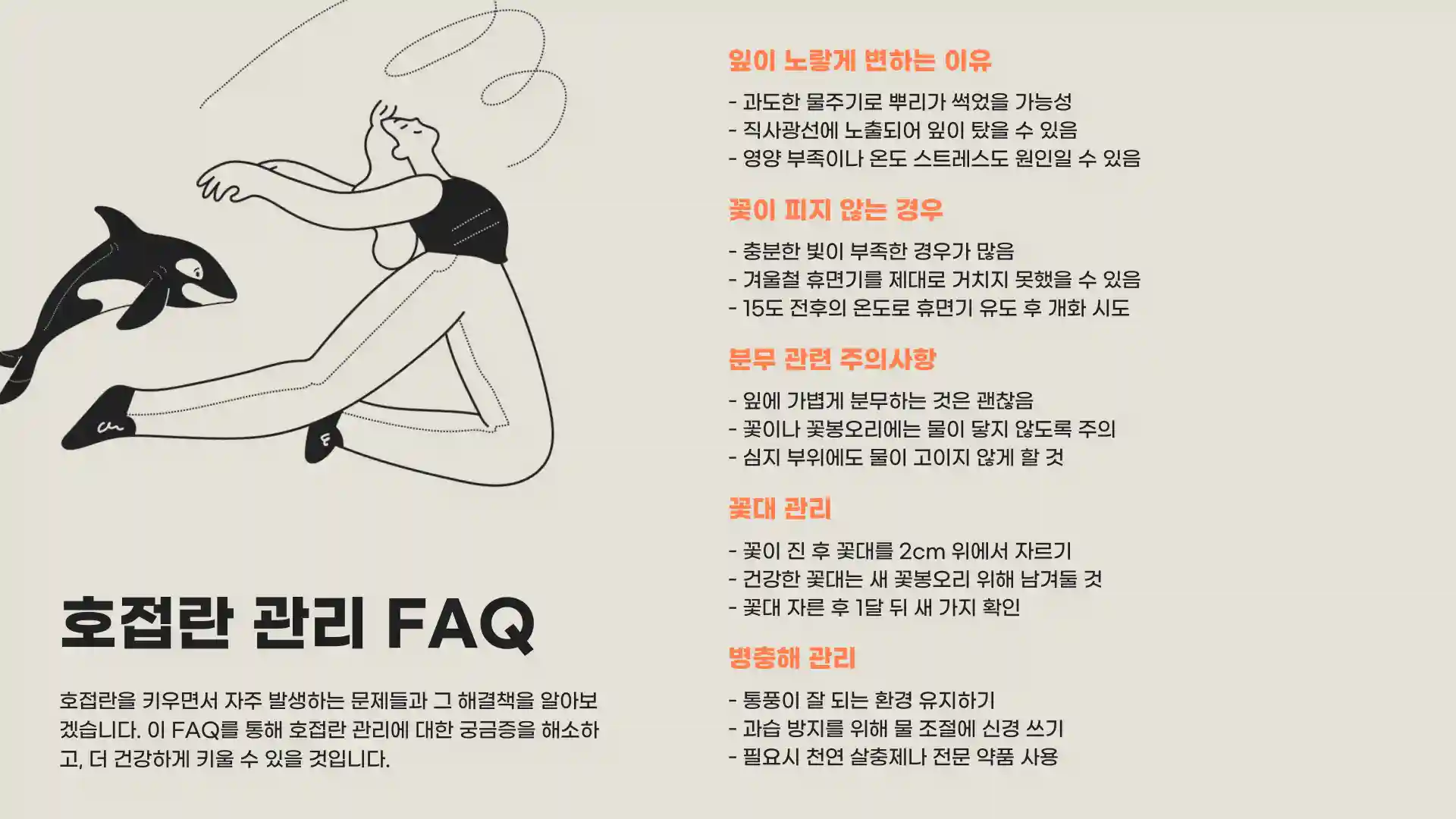 호접란 키우는 법 물주는 방법