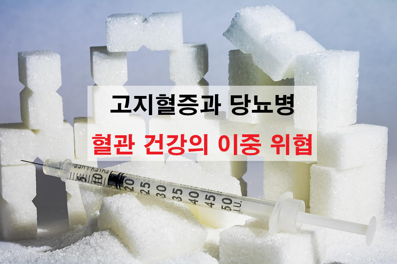 고지혈증과 당뇨병