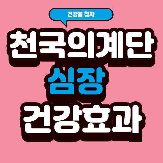 천국의 계단 운동이 심장 건강에 미치는 영향