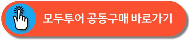 모두투어공동구매