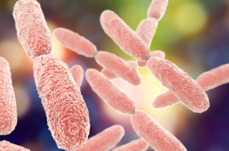 폐렴 전염성&amp;#44; 증상&amp;#44; 치료기간 총정리 (2025ver)