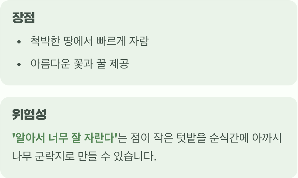 꿈의 나무, 하지만 강력한 경고