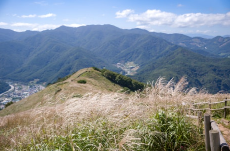 민둥산 억새꽃축제