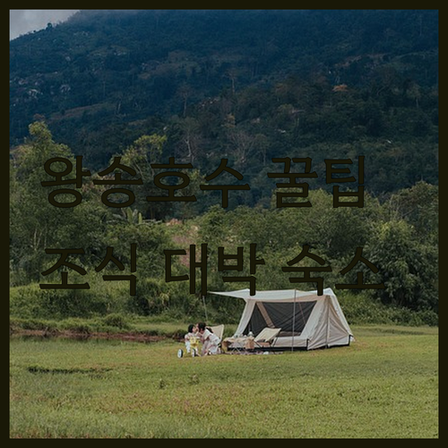 왕송호수 조형미 담는 구도 팁과 조식..
