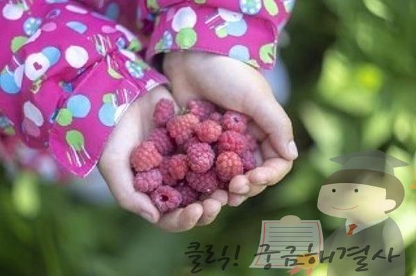 사타구니 멍울