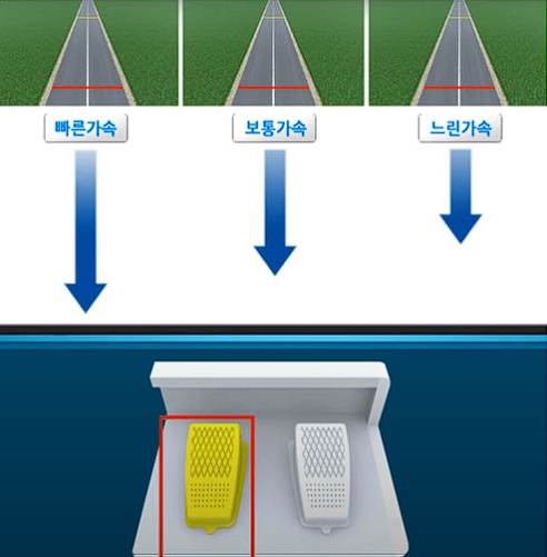 정지거리예측검사