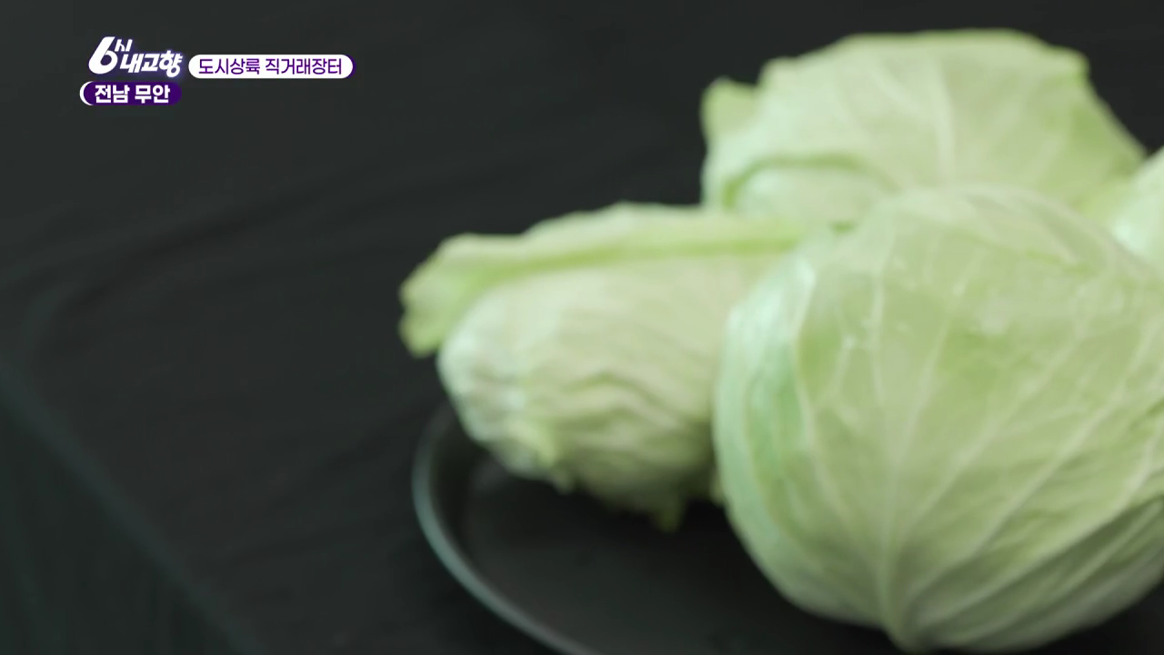 6시내고향 도시상륙 직거래장터 전남 무안 양배추
