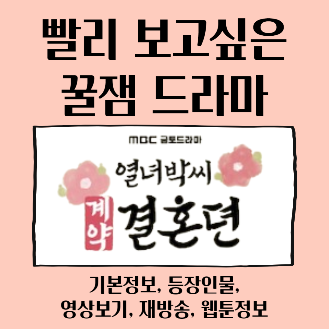 열혈박씨 계약결혼뎐 드라마