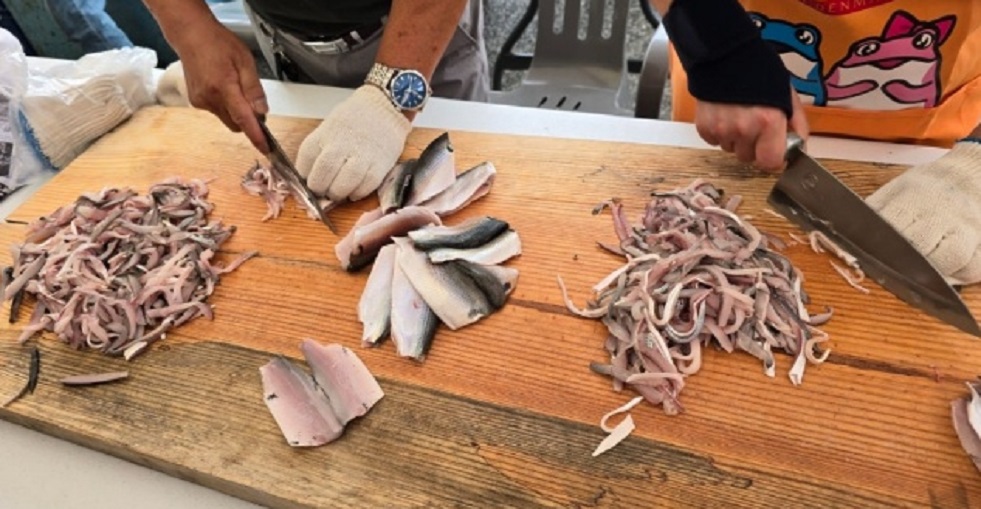 한국기행-낙동강-전어-부산-명지시장