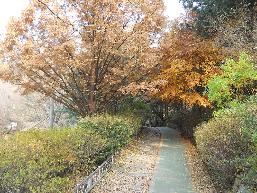 걷고 사랑하며 : 시간이 멈춘 안산자락길을 미치도록 걷고 싶다!