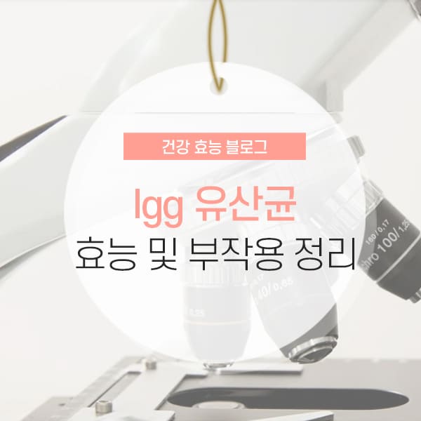 lgg 유산균 추천 이유 소개 컨텐츠