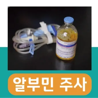 알부민 수액 알부민 링거 가격까지 한번에 정리로_24
