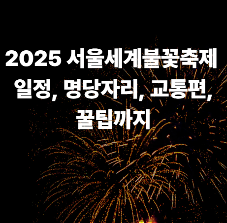 2025 서울세계불꽃축제 일정, 명당자리, 교통편, 꿀팁까지 완벽 가이드
