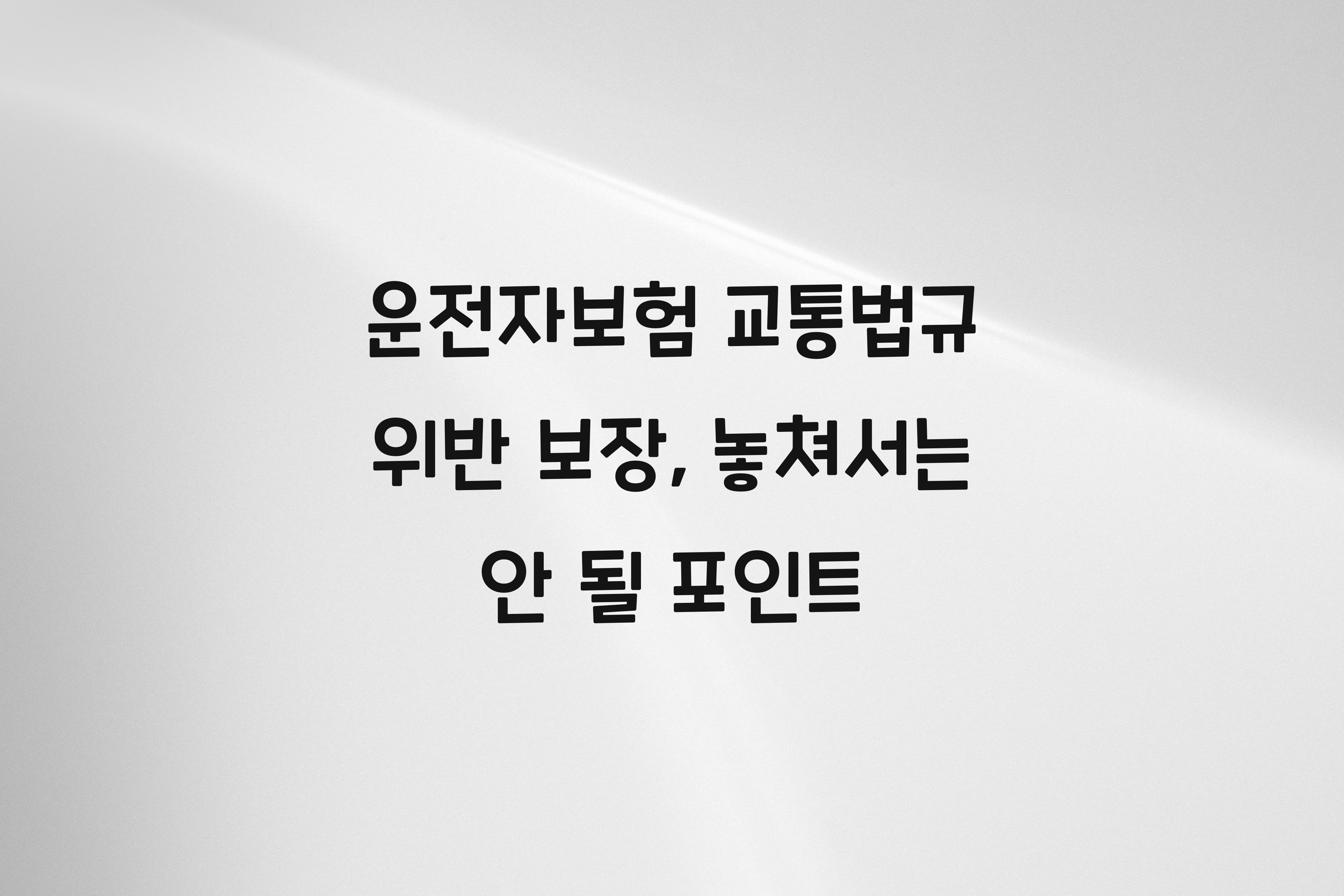 운전자보험 교통법규 위반 보장