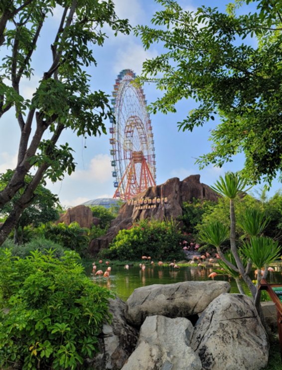 빈원더스-동물원-플라밍고-홍학