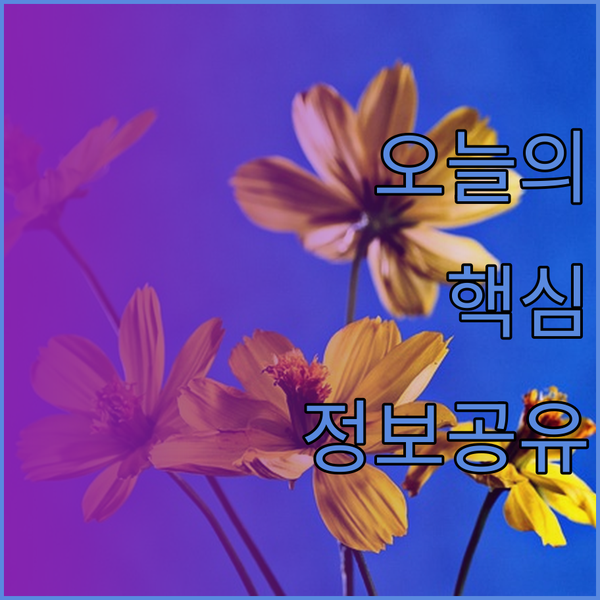 강촌 여행 계획 중이세요? 애견 동반