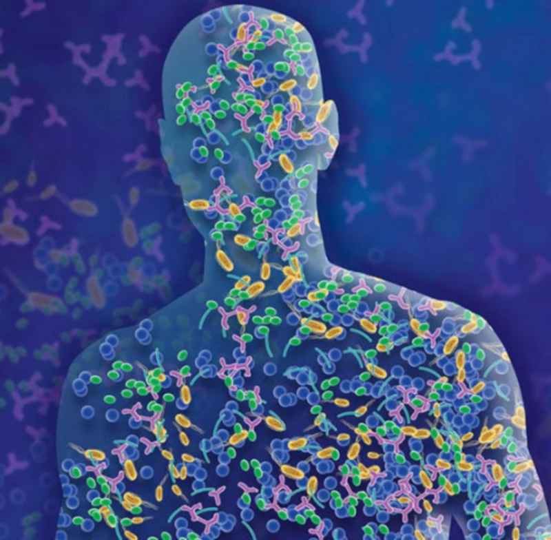 마이크로 바이옴이란 4000억 규모 범정부 신사업 정리