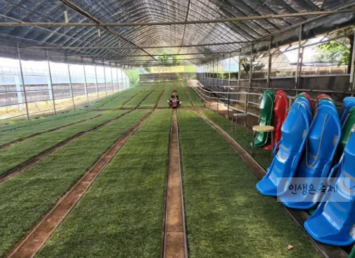 율봄식물원 봉선화시즌 레일썰매