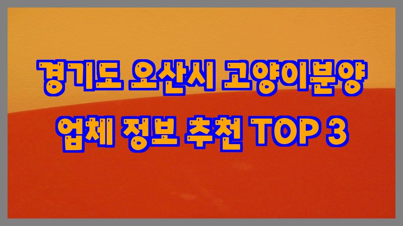 경기도 오산시 고양이분양