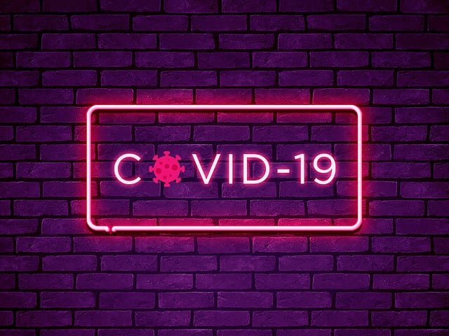 2024 인플루엔자 독감 무료예방접종