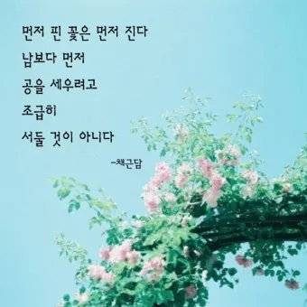 삶의 지혜 짧은 문장 손주 교육 대화 공감 가족과 나누기 좋은 표현_15