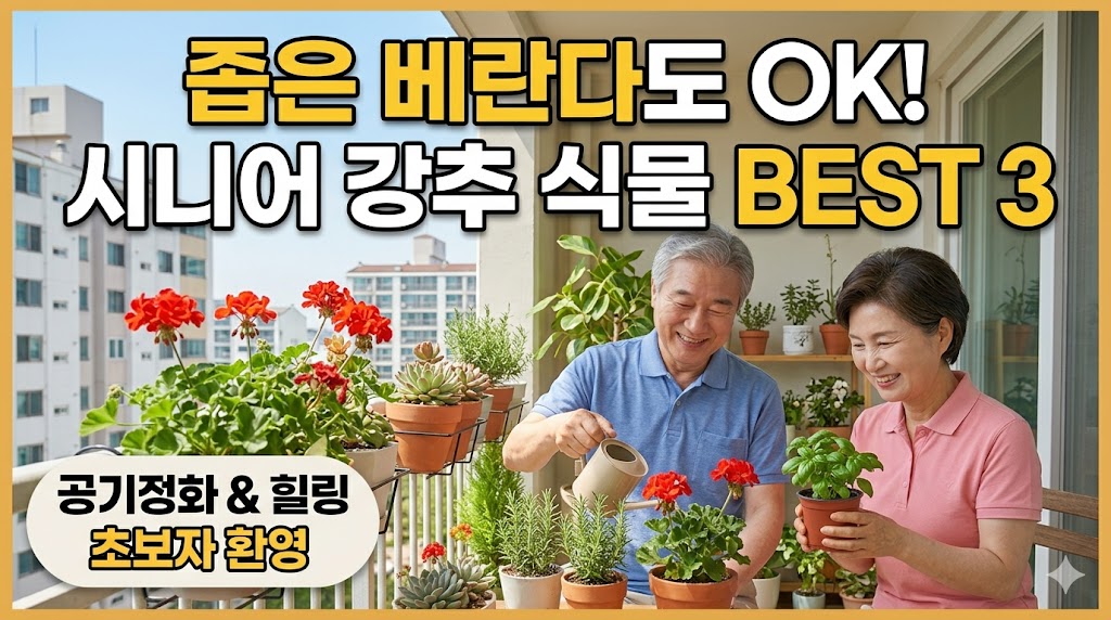 좁은 공간도 OK! 초보 시니어를 위한 키우기 쉬운 식물 BEST 3