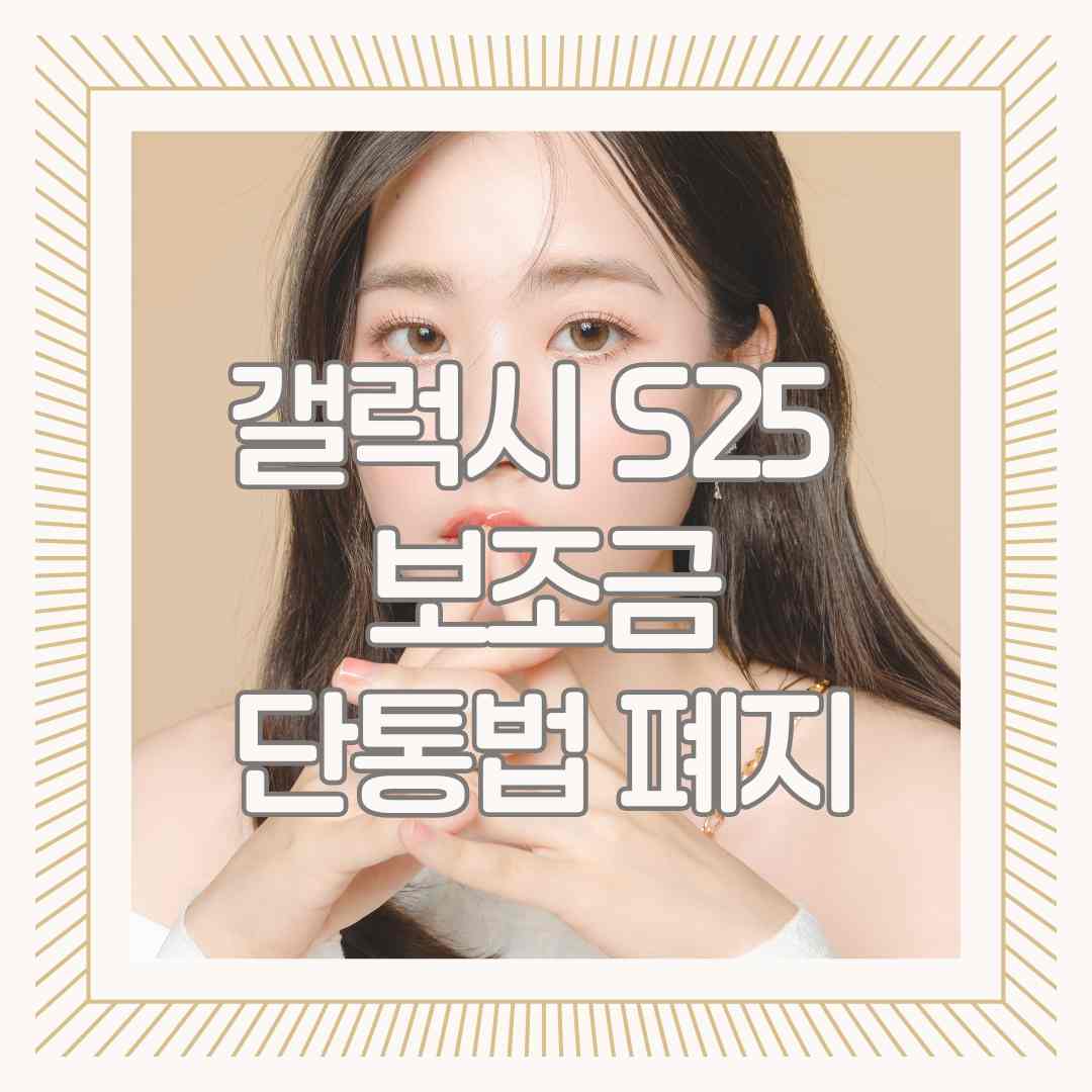 갤럭시 S25 보조금